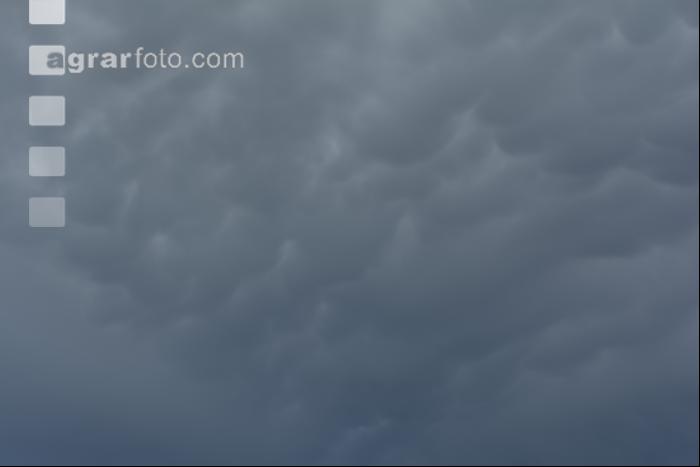 Nach dem Gewitter 3