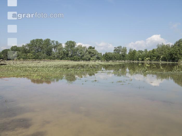 Hochwasser 1