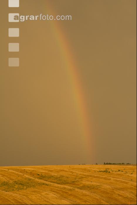 Regenbogen 3
