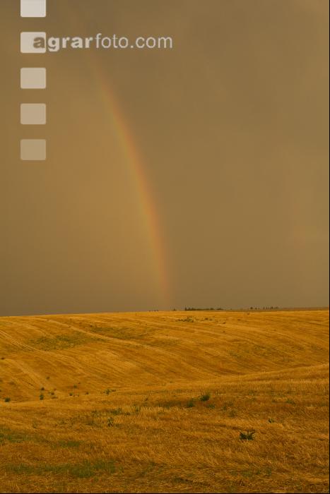 Regenbogen 2