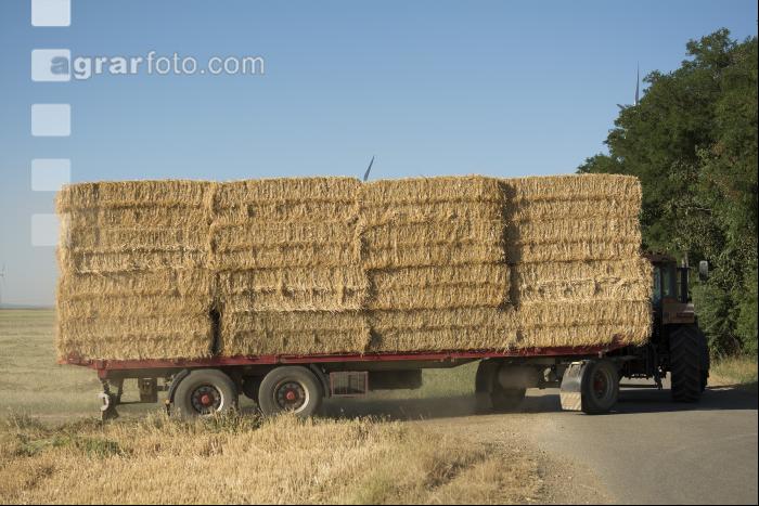 Strohtransport 2