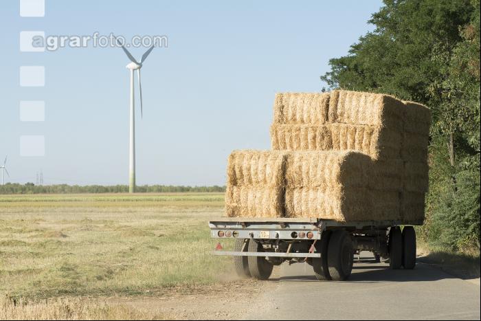 Strohtransport 1
