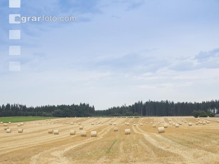 Rundballen Stroh 17