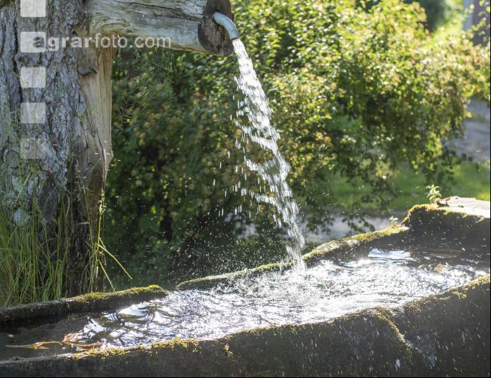 Wasser vom Brunnen 5
