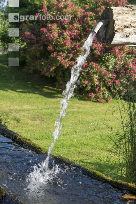 Wasser vom Brunnen 2
