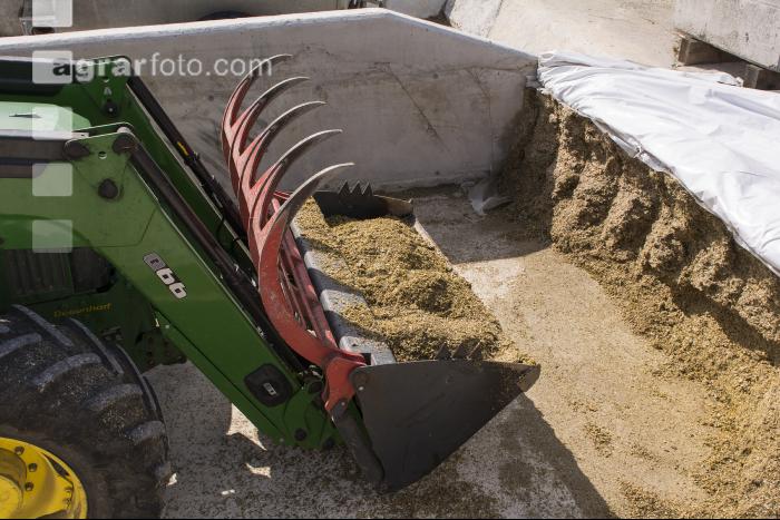 Silage Entnahme 5