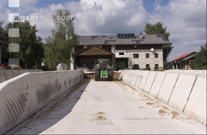 Silage Entnahme 3