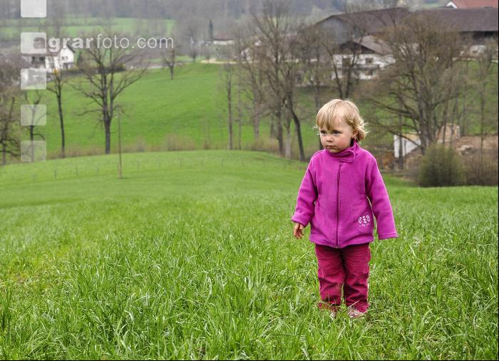 Kinder auf der Weide
