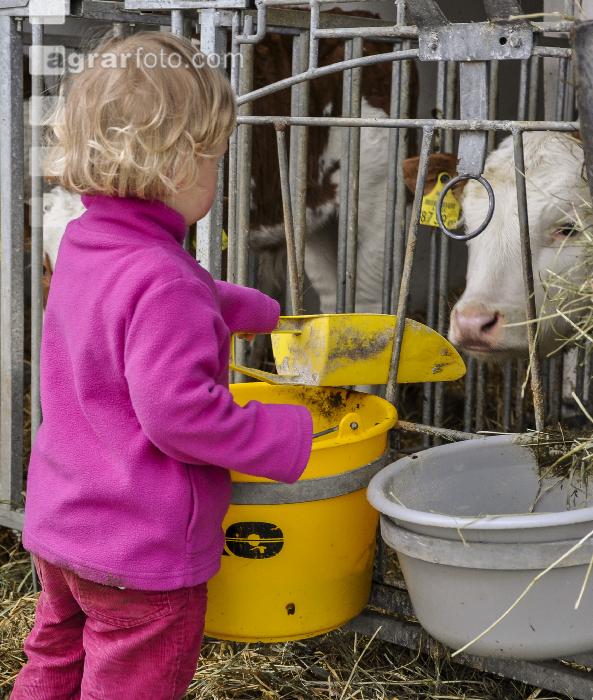 Kinder im Kuhstall 5
