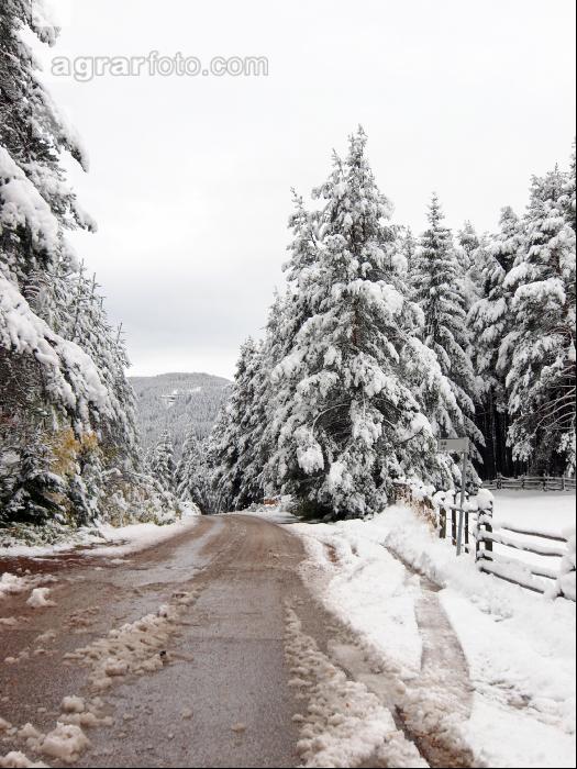 Wintereinbruch 16