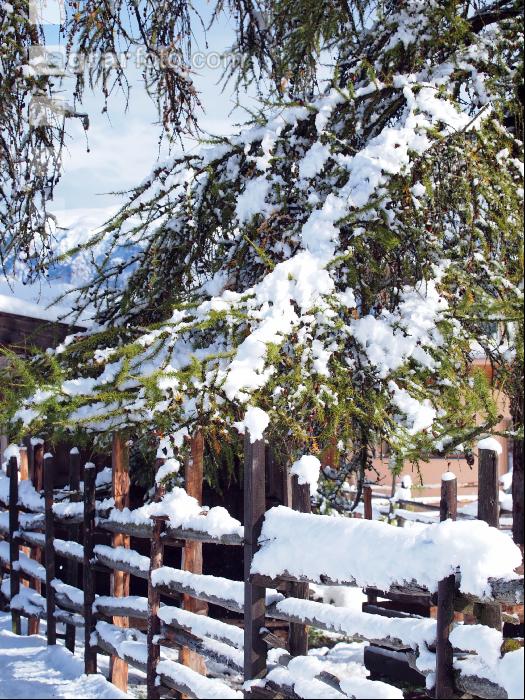 Wintereinbruch 15