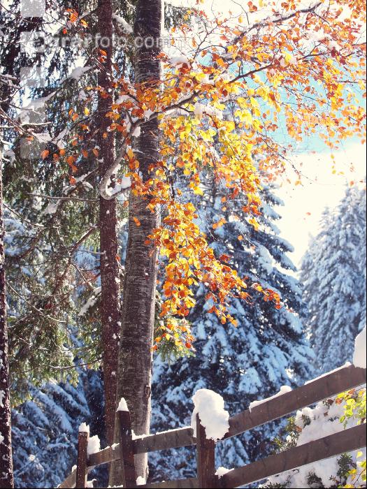 Wintereinbruch 11