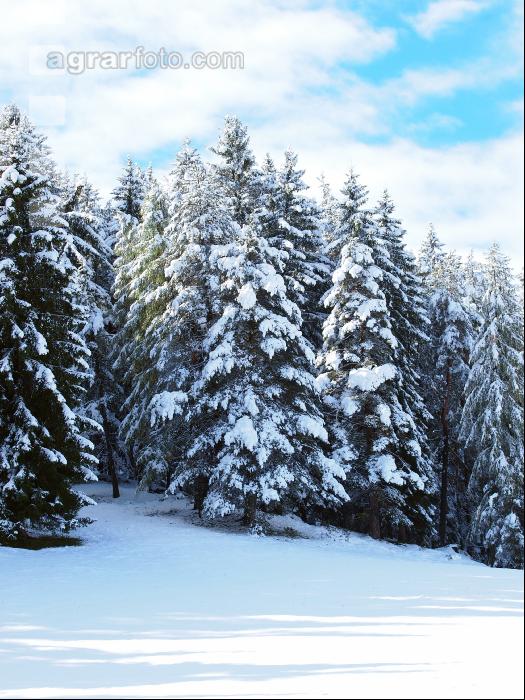 Wintereinbruch 1