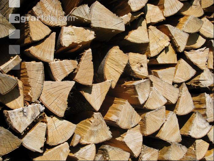 Holzstoß 4