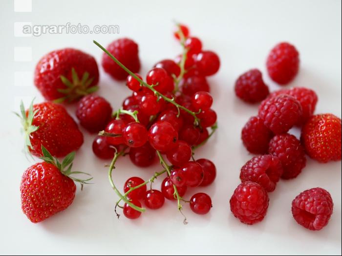 Beerenmix 6