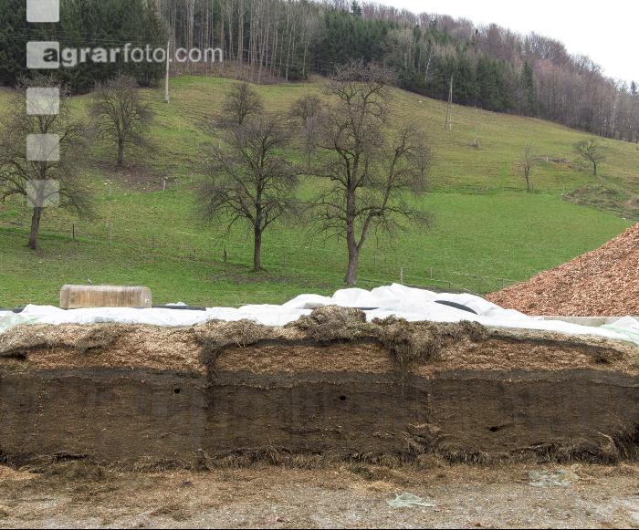 Fahrsilo Gras- und Maissilage