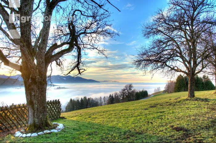 Nebel im Tal 22