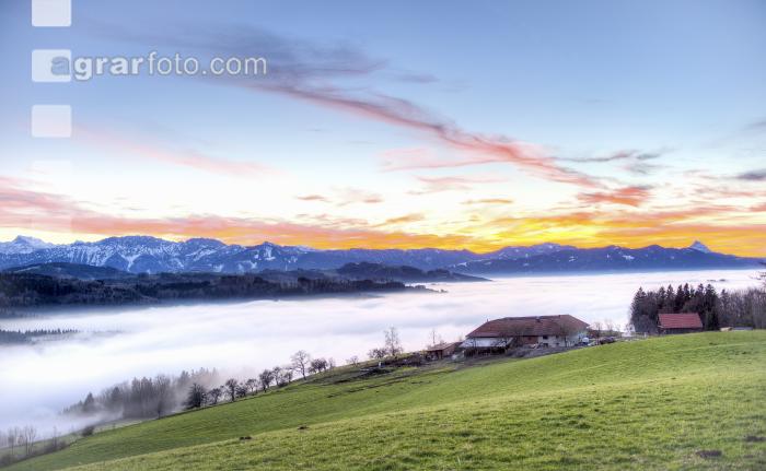 Nebel im Tal 21