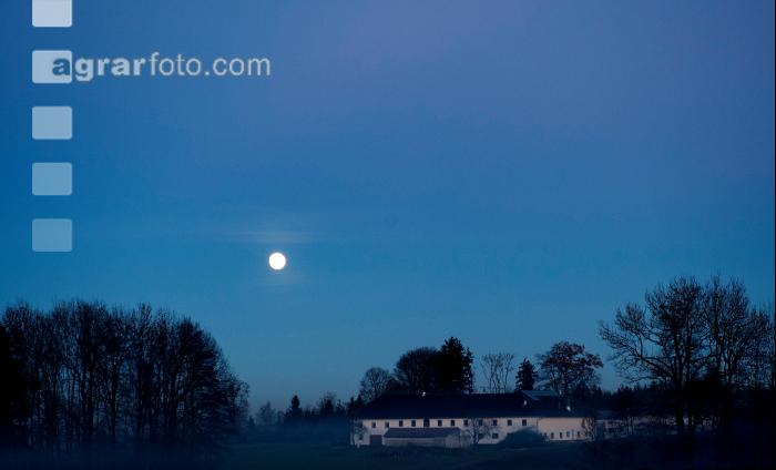 Mond im Jänner 1