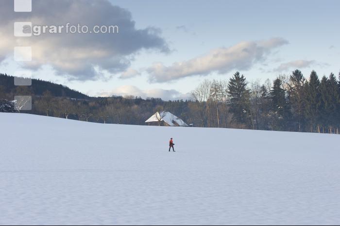 Forstarbeiter 1