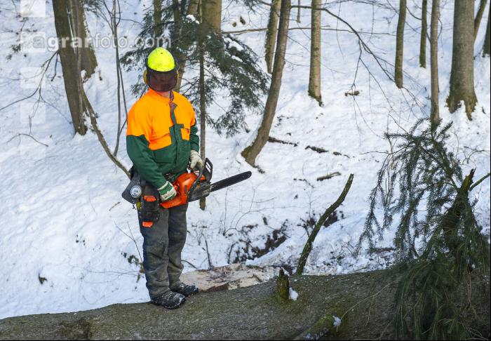 Baum ausasten 8