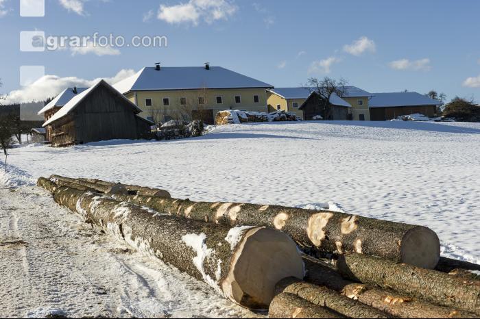 Holz laden 37
