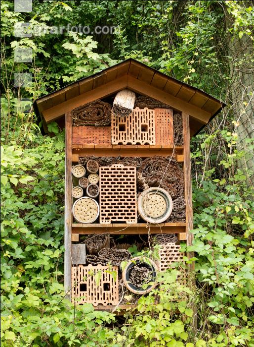 Insektenhotel 1