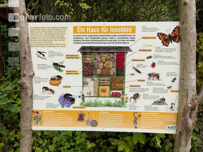 Insektenhotel 2