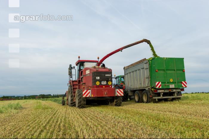 Grünschnittroggen häckseln 7
