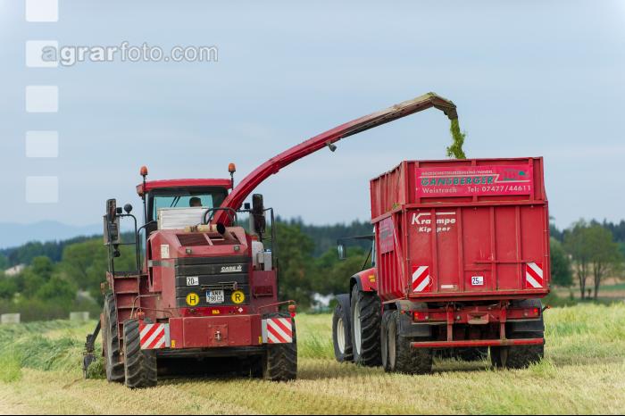 Grünschnittroggen häckseln 12