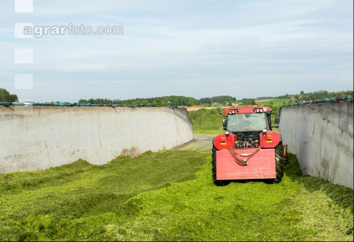 Fahrsilo Grünschnittroggen 5