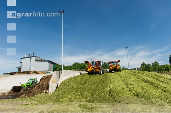 Silage verdichten 1