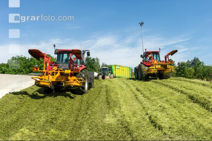 Silage verdichten 2