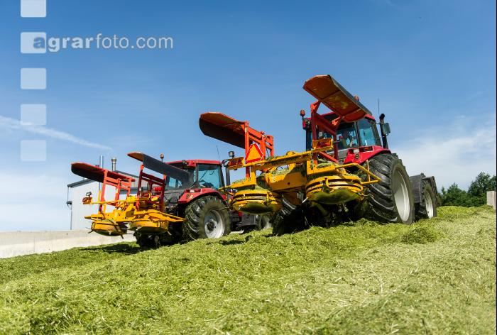 Silage verdichten 3