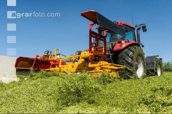 Silage verdichten 4