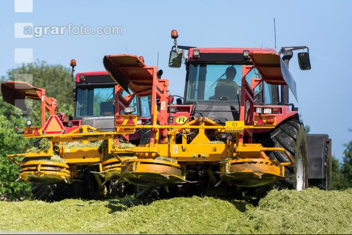 Silage verdichten 5