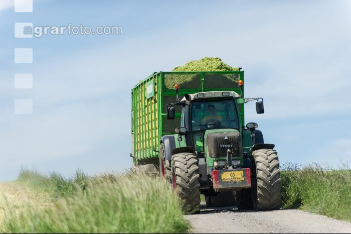Grünschnittroggen transportieren 3