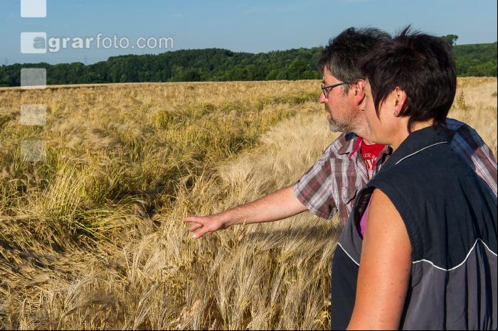 Gerste Lagerfrucht 1