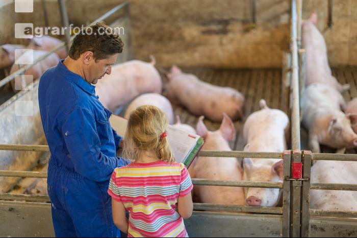 Management Mastschweine 5