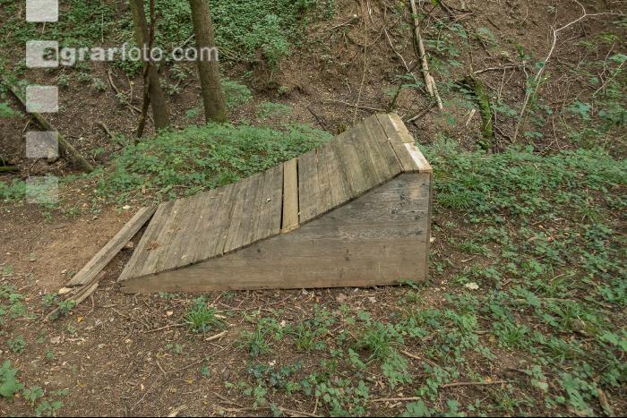 Waldschäden Vandalismus 2