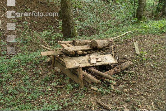 Waldschäden Vandalismus 1