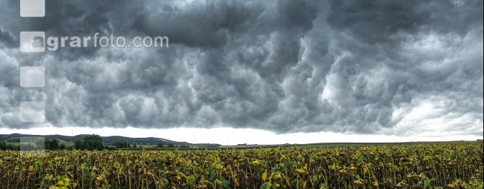 Gewitterwolken 3