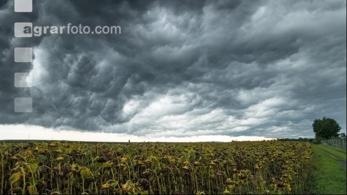Gewitterwolken 4