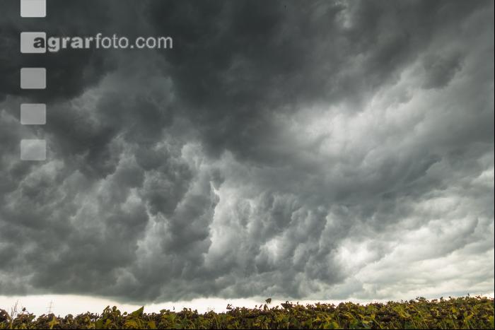 Gewitterwolken 6