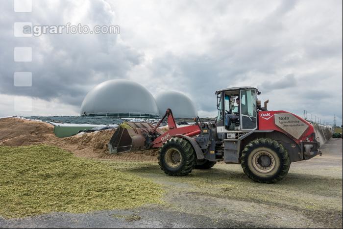 Silomais Silage 92