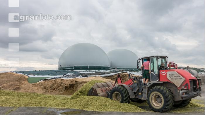 Silomais Silage 91