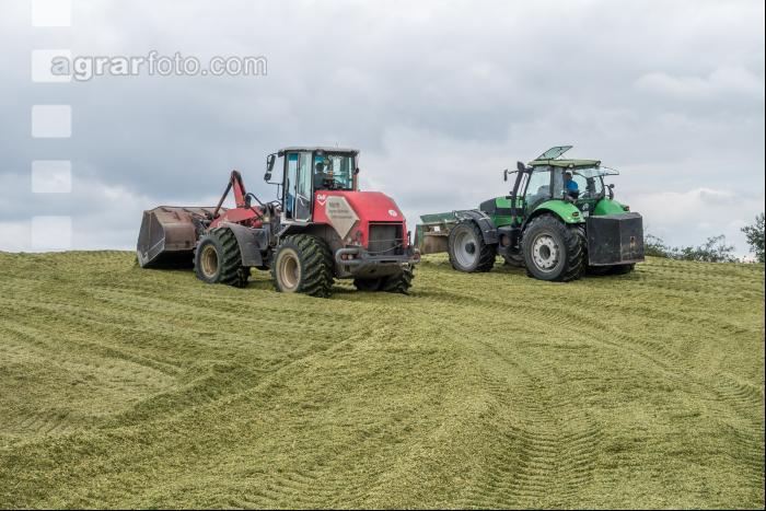 Silomais Silage 90