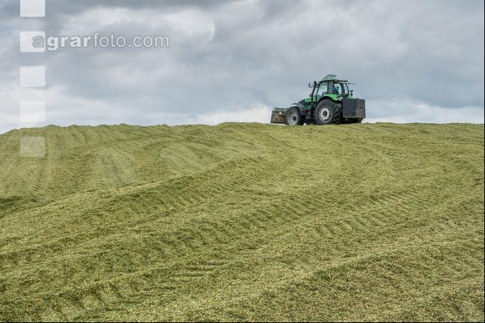 Silomais Silage 88