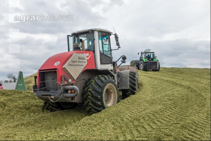 Silomais Silage 87