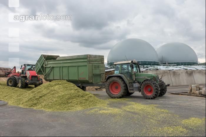 Silomais Silage 86